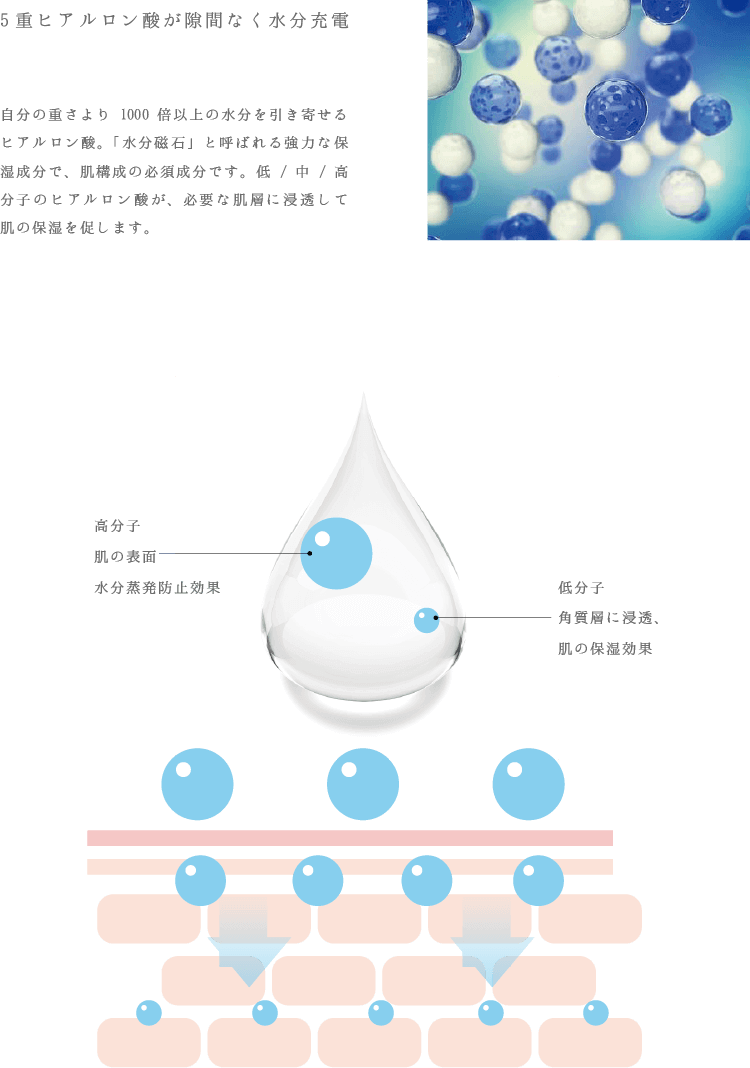 5重ヒアルロン酸が隙間なく水分充電