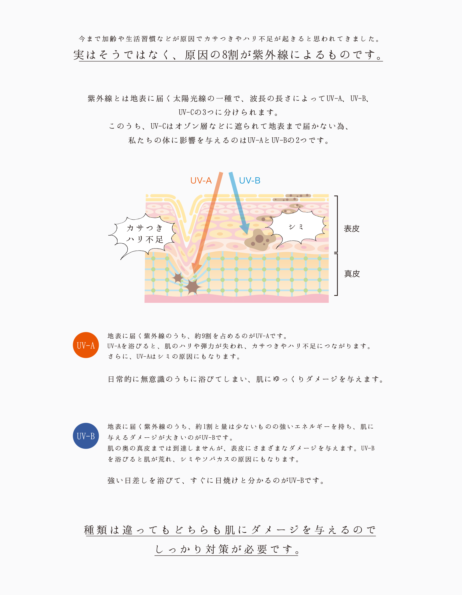 今まで加齢や生活習慣などが原因でカサつきやハリ不足が起きると思われてきました。